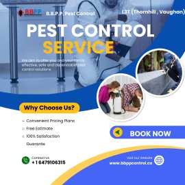 Pest Exterminator Vaughan – Get rid of your pests, Vaughan