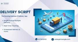 Delivery Script: The Perfect Solution for Seamless, $ 0