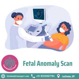 Fetal Anomaly Scan In Lucknow, Lucknow
