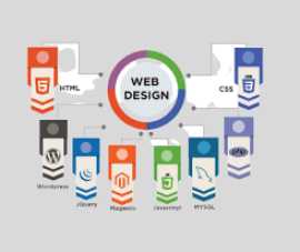 Discover Best Web Development Company in Noida , Delhi