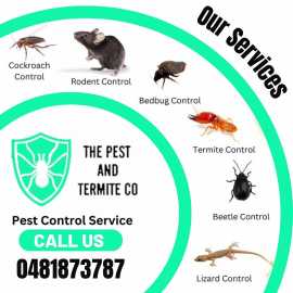 Expert Termite Inspection Services in Brisbane, Gold Coast
