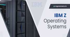 IBM Z Mainframe and Its Different Operating System, Dallas