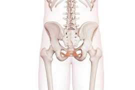 Looking For Pelvic Floor Therapy in Brampton , Brampton