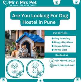 Best Dog Hostel in Pune at Affordable Price, Pune