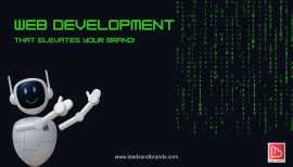 Top Web Development in Bhopal | Leads and Brands, Bhopal