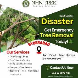 Emergency Tree Removal Services in Hyderabad - NHN, Hyderabad
