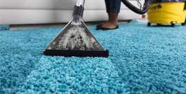 Carpet shampooing Burlington, Mississauga