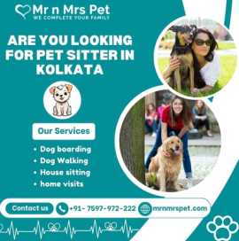 Professional Pet Sitter in Kolkata, Kolkata