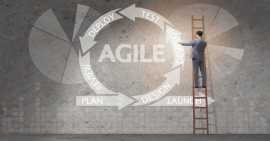 Agile Methodology for DotNet Development Project, Dallas