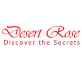Discover Dubai with the Best Tour Operator: Desert, Al Karama