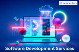Custom Software Development Services, Lucknow