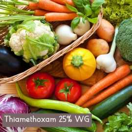 Thiamethoxam 25% Insecticide | Peptech Bioscience , New Delhi