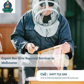 Expert Bee Hive Removal Services in Melbourne, Keysborough