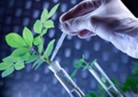 Plant Biotechnology Company India, Delhi