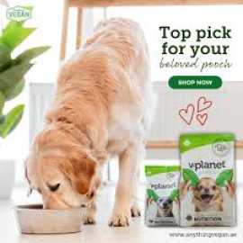 best dog food for dogs dubai, Abu Dhabi