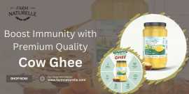 Boost Immunity with Premium Quality Cow Ghee, Gurgaon