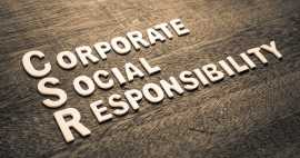 What Is The Reason To Use ESRS?, Floral City