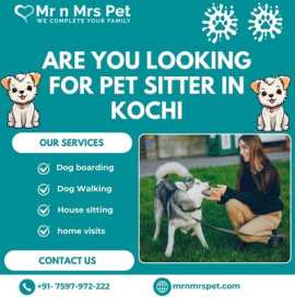 The Best Pet Sitter in Kochi, Kochi