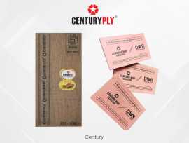 Century Ply Dealers in Lucknow, Lucknow