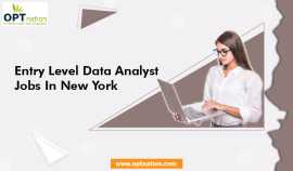 How to Find Entry Level Data Analyst Jobs New York, New York