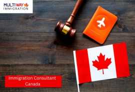 Best Immigration Consultant for Your Canadian Jour, Edmonton