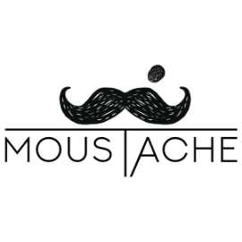 Best Hostels and Hotels in Jaipur: Moustache Escap, Jaipur