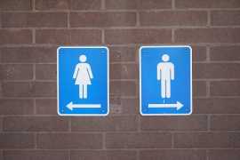 Distinctive Bathroom Signs for a Stylish Touch, Carson