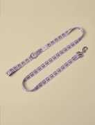 RuaRua - Quality Dog Leashes for Safe and Stylish , London
