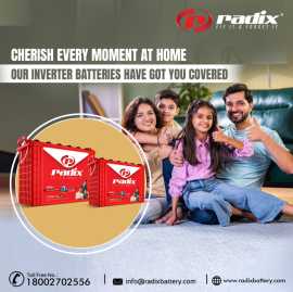 Leading Inverter Battery Exporter in Nigeria Radix, Meerut
