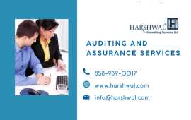 Professional Auditing and Assurance Services, San Diego