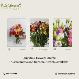 Buy Bulk Flowers Online: Gerbera Flowers Available, $ 26