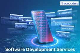 Custom Software Development Services in Lucknow, Lucknow