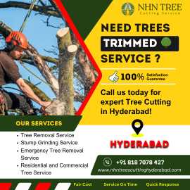 Tree Trimming Service in Hyderabad – NHN Trees, Hyderabad