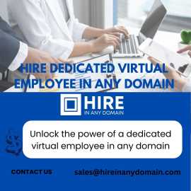Hire Dedicated Virtual Employee in Any Domain, Washington