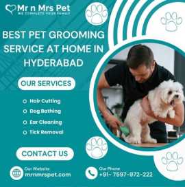 Best Pet Grooming Service at Home in Hyderabad, Hyderabad