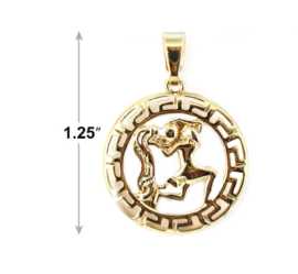 Aquarious (January) Horoscope Pendant, Los Angeles