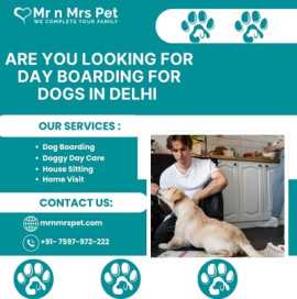 Professional Day Boarding For Dogs in Delhi, Delhi