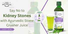 Say No to Kidney Stones with Ayurvedic Stone Crush, Gurgaon