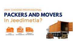 Why Choose Professional Packers and Movers , Hyderabad