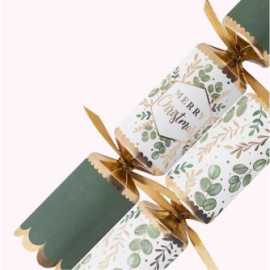 Make Your Christmas Memorable with the Best Cracke, Wilston