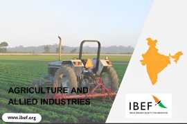 Revolutionizing Foodgrain Production in India, Connaught Place