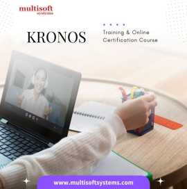 Kronos Training and Online Certification Course, Noida