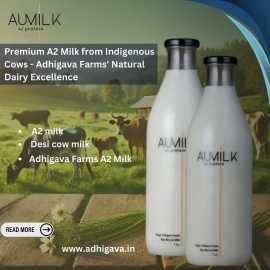 Premium A2 Milk from Indigenous Cows - Adhigava Fa, Rajkot