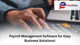 Simplify Business with Payroll Management Software, Mississauga