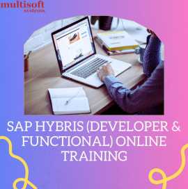 SAP Hybris Training Functional & Developer Onl, Noida