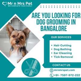 Professional Dog Grooming at Home in Bangalore, Bengaluru