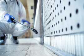 SayGoodbye to Pests with Arizona's #1 Pest Control, Phoenix