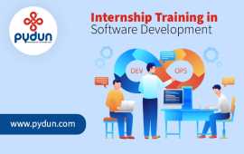 Internship Training in Software Development, Madurai