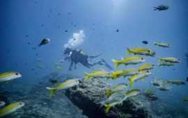 Zanzibar Tour Packages, Dubai
