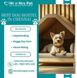 Explore The Best Dog Hostel in Chennai, Chennai